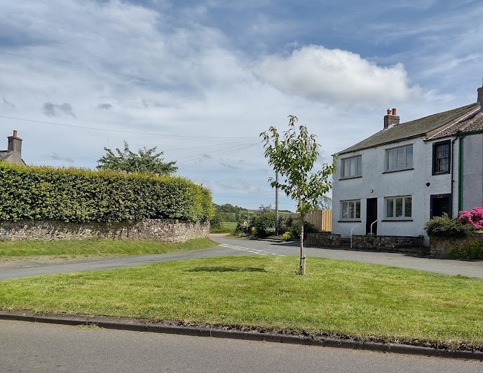 Tallentire Green1.jpg